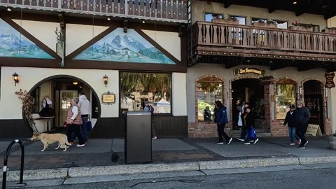 Bavarian Village Tour Stock Footage 319965751