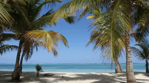 Bavaro Beach Stock Footage 33827678