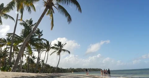 Bavaro beach in Punta Cana, Dominican Republic Stock Footage 59077455