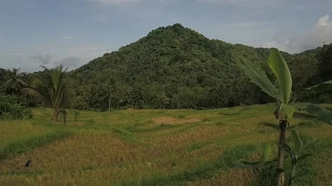 Bawean Island Video stock 234092031