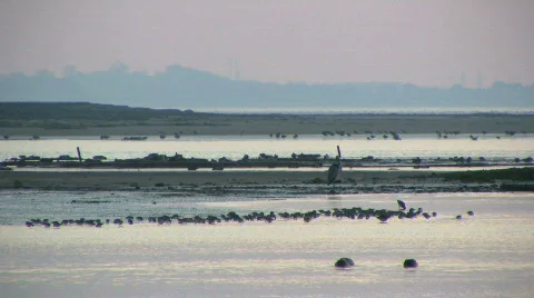 Bay 1 Stock-Footage 95877