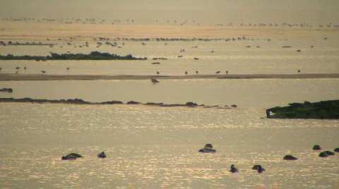 Bay 2 Stock-Footage 95874