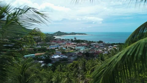 Bay and rooftops framed by tall palms. Lush palm trees frame picturesque view of Stock Footage 312744755