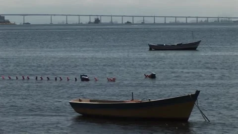 The Bay boats Stock Footage 314850491