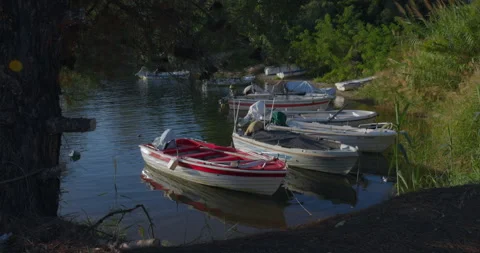 Bay with boats at sunset 库存影片 221834464