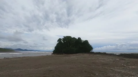 Bay in the Colombian Pacific. Choco  Stock Footage 161931056