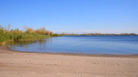Bay with an empty sandy beach, clear blue water and reeds growing on the shor Stock Footage 118505906
