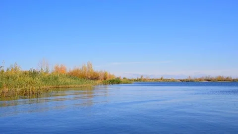 Bay with an empty sandy beach, clear blue water and reeds growing on the shor Stock Footage 118505927