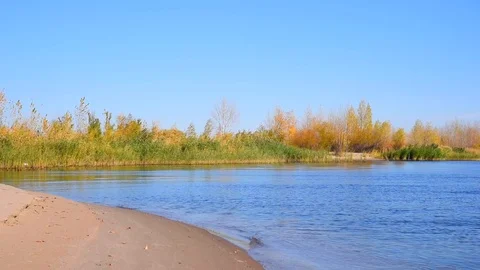 Bay with an empty sandy beach, clear blue water and reeds growing on the shor Stock Footage 118505931