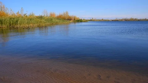 Bay with an empty sandy beach, clear blue water and reeds growing on the shor Stock Footage 118505936