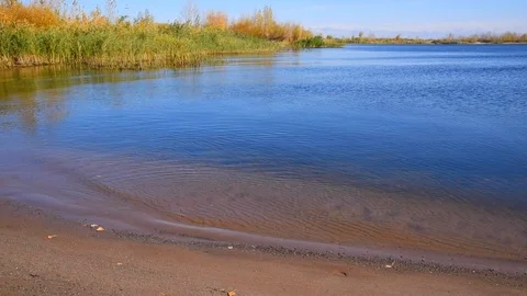 Bay with an empty sandy beach, clear blue water and reeds growing on the shor Stock Footage 118505941