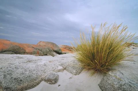 Bay of Fires Foto stock