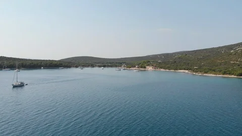 Bay Fly In Stock Footage 117360083