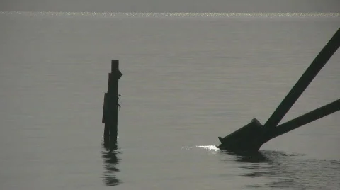 The Bay Video stock 562260