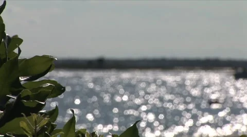 Bay Stock Footage 8777070