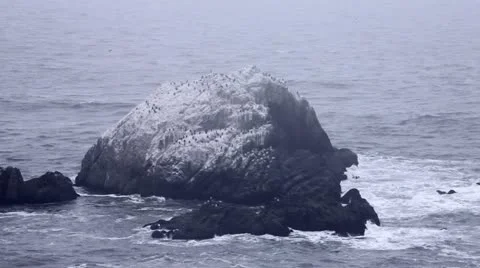 Bay Stock Footage 11142433