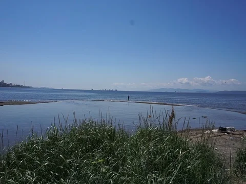 On the Bay Vídeo Stock 78776387