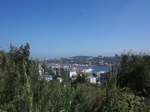 This Bay Vídeo Stock 87483942