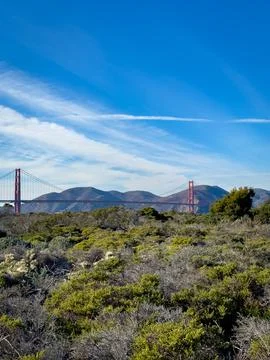 A bay in forest Stock Photos