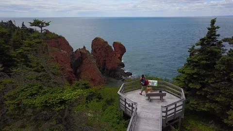 Bay of fundy Summer Rocks Cliffs Look Out Nova Scotia Drone View Stock Footage 141781712
