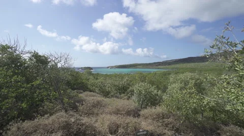 Bay in the Galapagos Stock Footage 58356688
