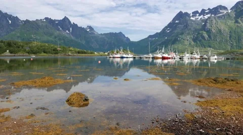Bay with the harbor at Lofoten Stock Footage 67407048