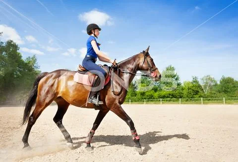 Bay horse and horsewoman riding at racetrack Stock Photos