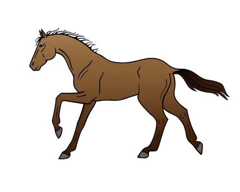 Bay horse galloping - vector full color illustration. A galloping stallion. Stock Illustration