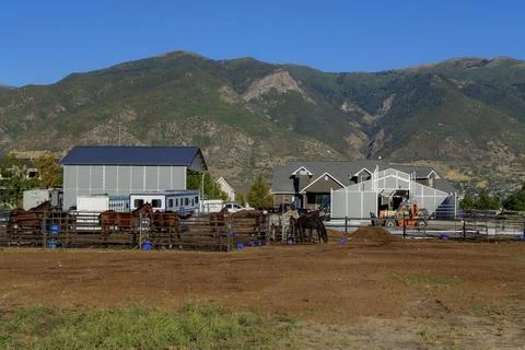Bay Horse Standing on the farm, Split Rail metal fence in a pasture, mountain Stock Photos