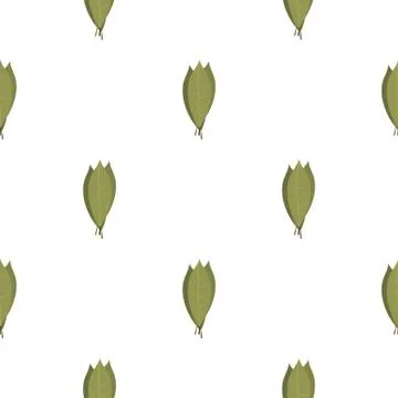 Bay laurel leaves pattern flat Stock Illustration