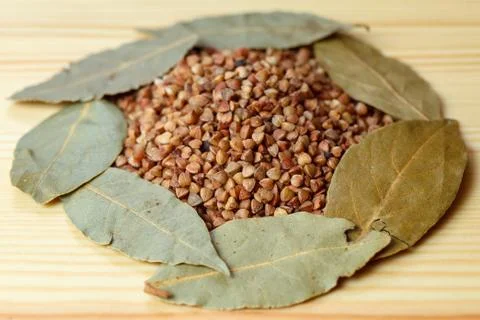 Bay leaf buckwheat Stock Photos