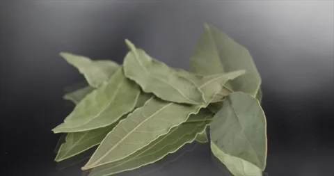 Bay leaf falls on a mirror surface Stock Footage 198004049