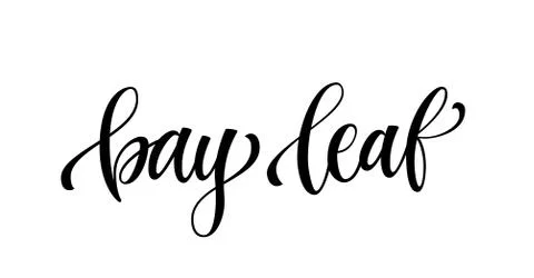 Bay leaf - hand drawn spice label Illustrazione stock