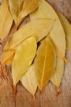 Bay leaf herb Stock Photos