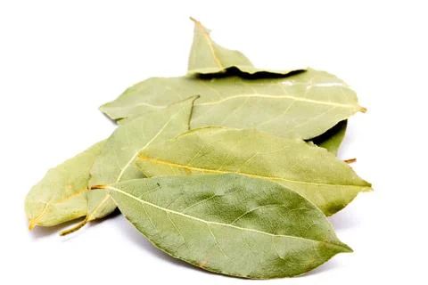 Bay leaf isolated on white background 写真素材