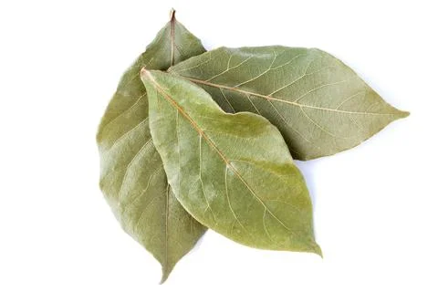 Bay leaf isolated on white background. Three dried bay leaves. Organic food Stock Photos