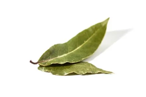 Bay leaf isolated on white Stock Photos