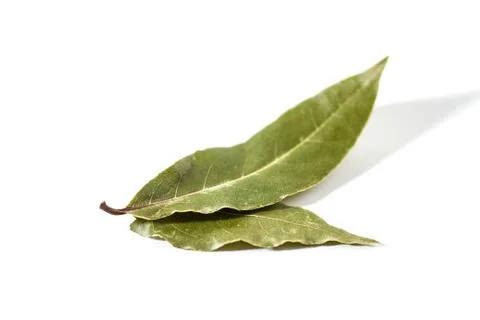 Bay leaf isolated on white Stock Photos