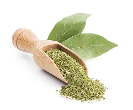 Bay leaf isolated on white Stock Photos