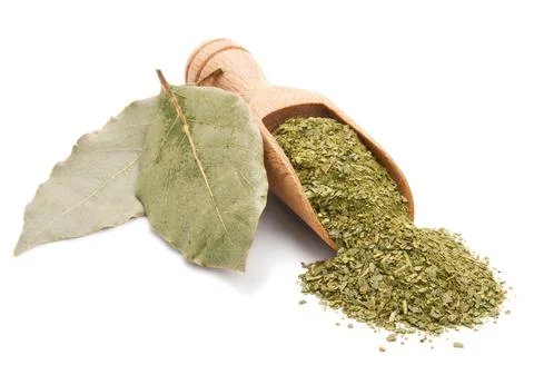 Bay leaf isolated on white Stock Photos