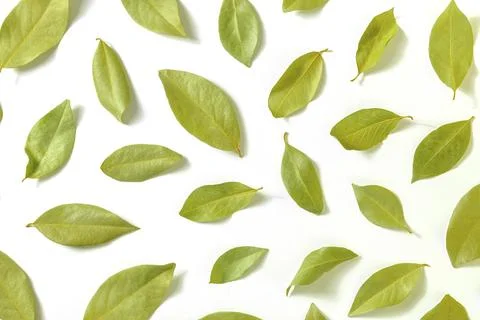 Bay leaf. A pattern of dry laurel leaves, overhead flat lay shot on a white Stock Photos