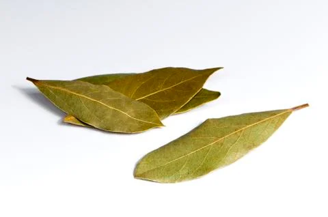 Bay leaf Stock Photos