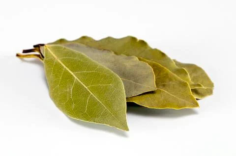 Bay leaf Stock Photos