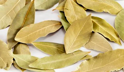 Bay leaf Stock Photos