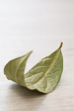 Bay leaf Stock Photos
