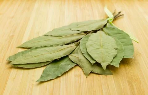 Bay leaf Stock Photos