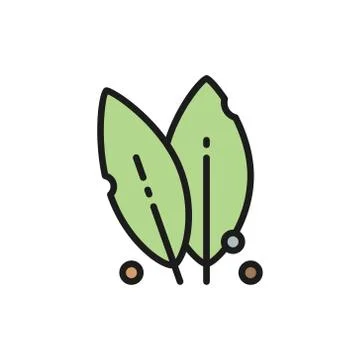 Bay leaf, spice, herb flat color line icon. Isolated on white background 스톡 일러스트