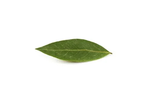 Bay leaf spice Stock Photos