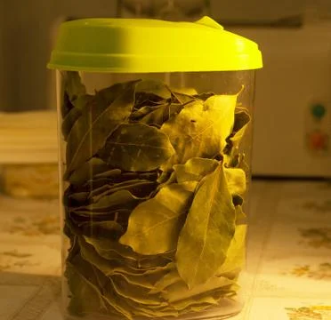 Bay leaf in a storage jar, on the table Stock Photos