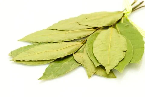 Bay leaf on white Stock Photos